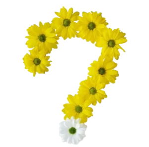 point d'interrogation fleurs
